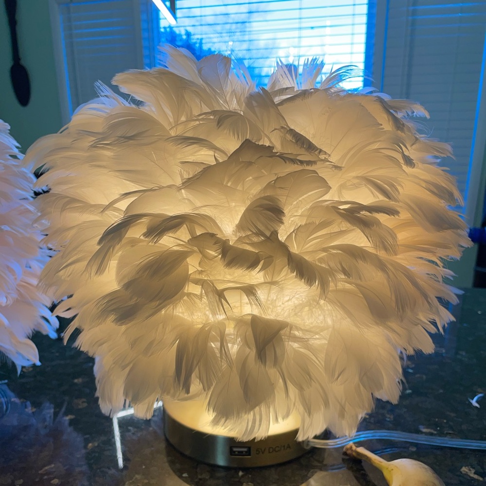 Feathery Lamps